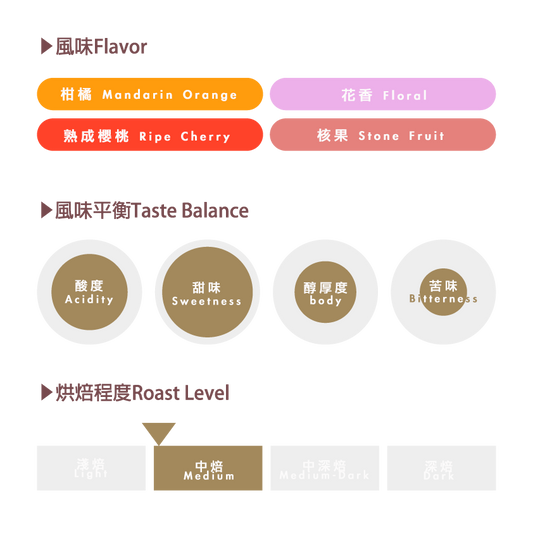 藝伎配方 Geisha Blend