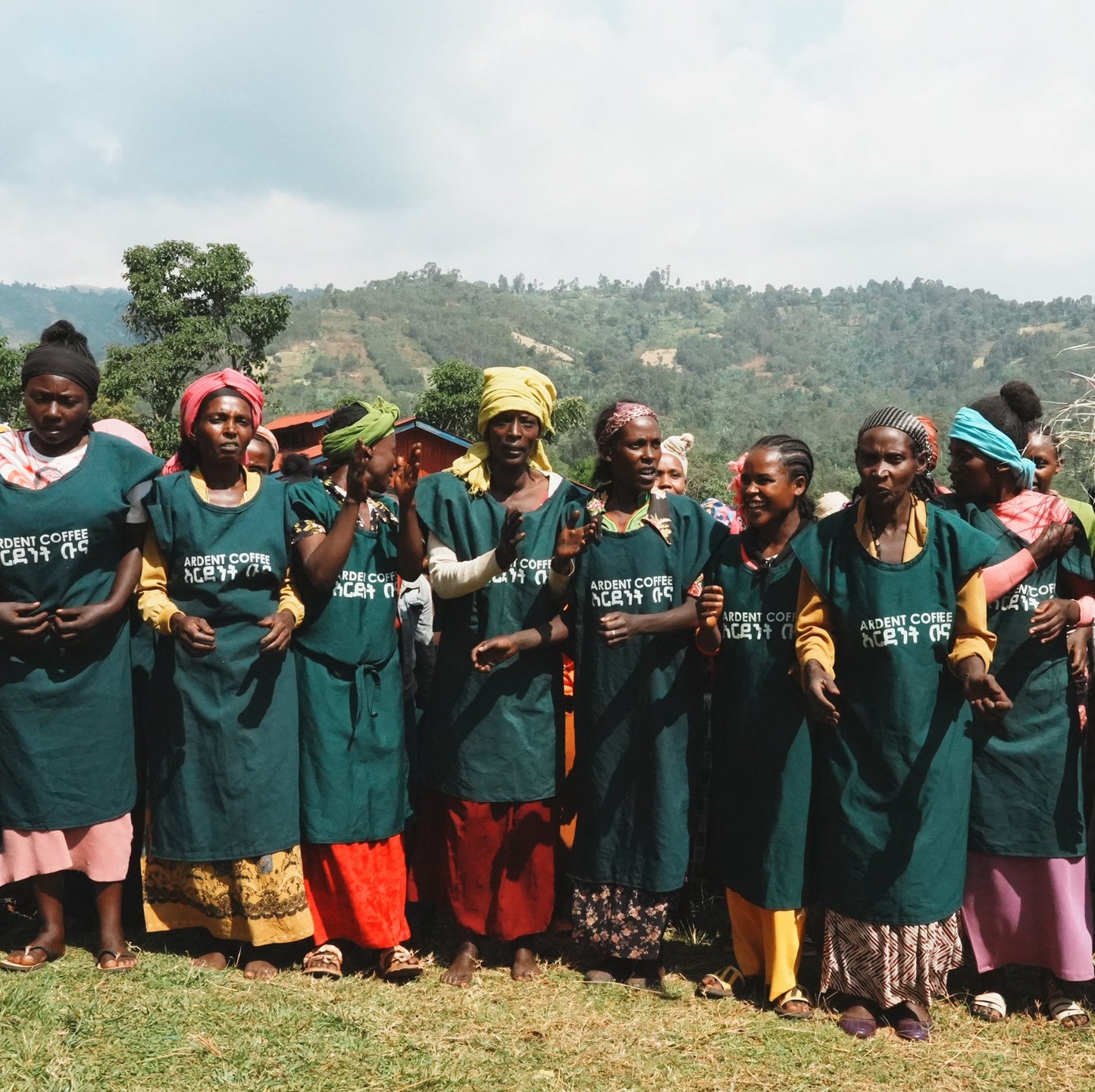 Ardent Idido Washed / 衣索匹亞