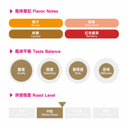 (網路限定) ARDENT Shanta Golba 水洗 / 衣索比亞