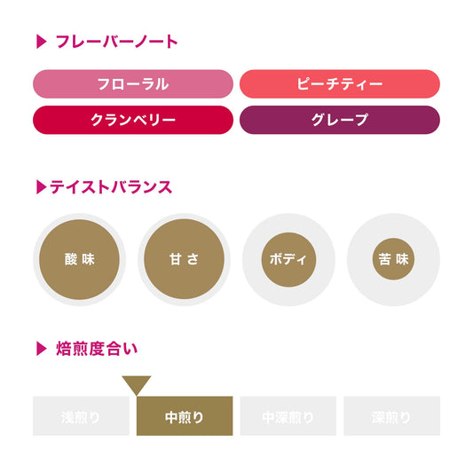 咖啡包 Ardent シャンタ・ゴルバ コラボレーション / 衣索匹亞