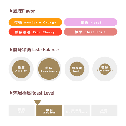 藝伎配方 Geisha Blend