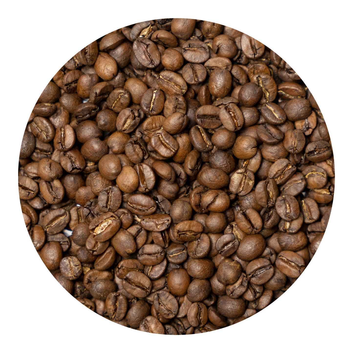 博多配方HAKATA BLEND