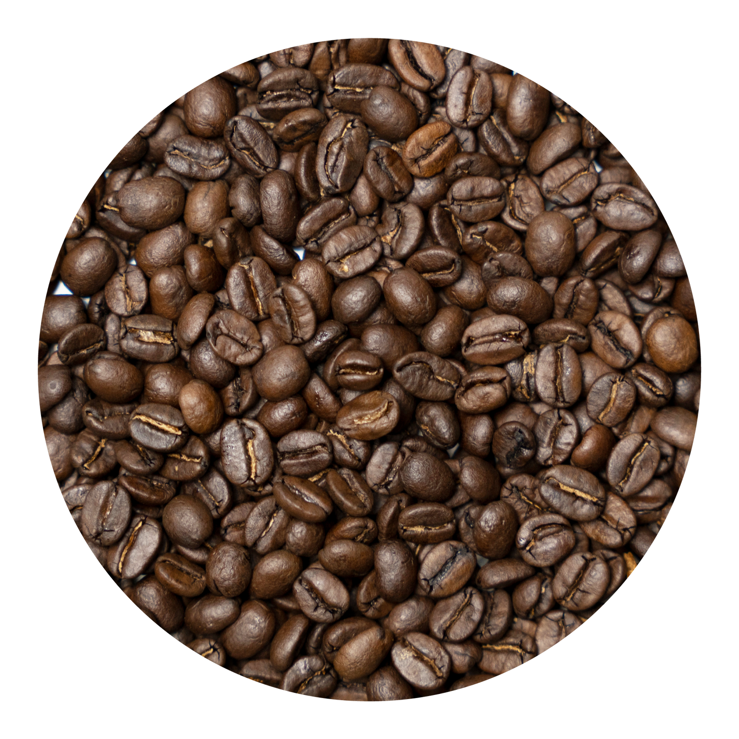 喫茶配方 Kissa Blend